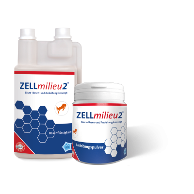 ZELLmilieu2 Pferd